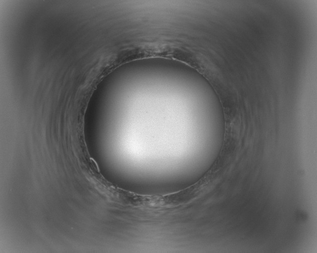 X0000082200961200702021840