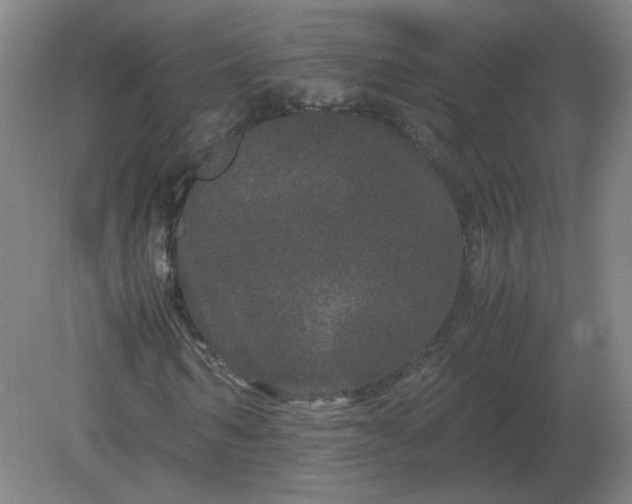 X0000082200962200702021840