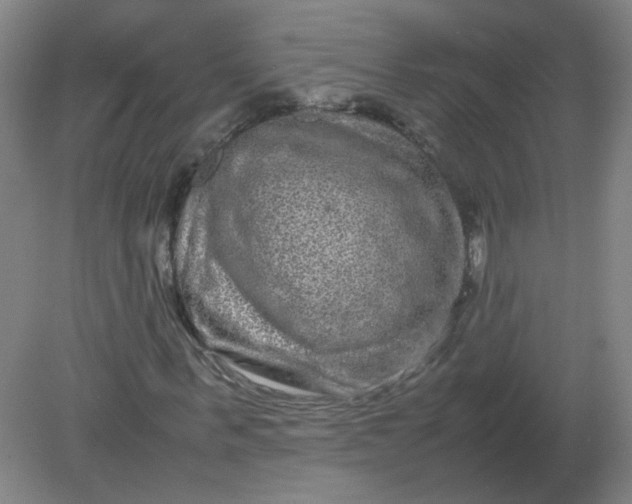 X0000082200963200702021840