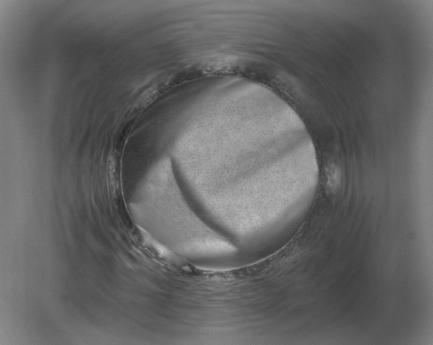 X0000082200964200702021840