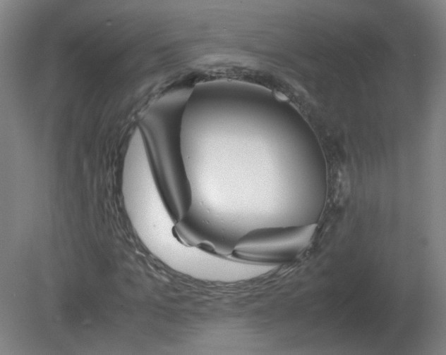 X0000082200965200702021840