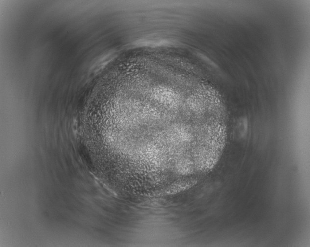 X0000082200966200702021840