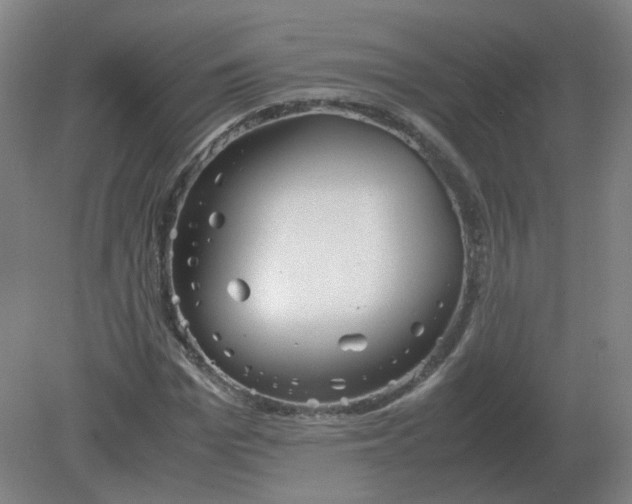 X0000082200969200702021840