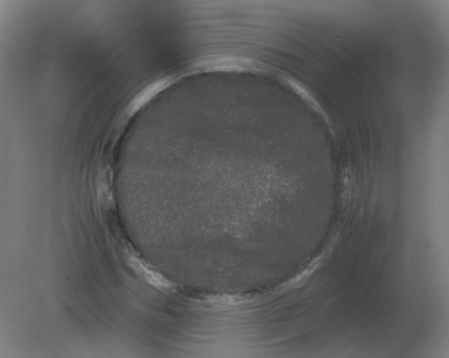 X0000082200970200702021840