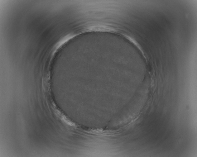 X0000082200971200702021840