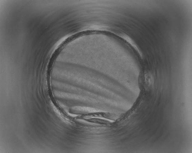 X0000082200972200702021840