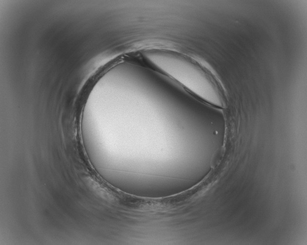 X0000082200973200702021840