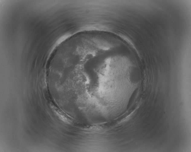 X0000082200974200702021840