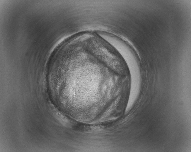 X0000082200975200702021840