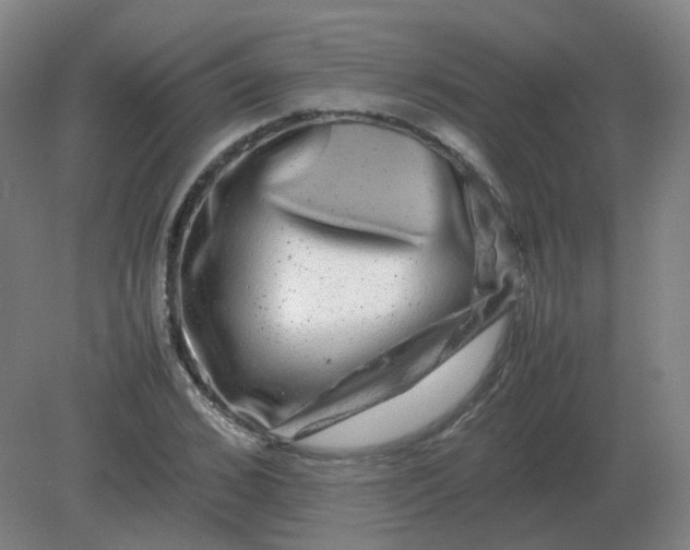 X0000082200976200702021840