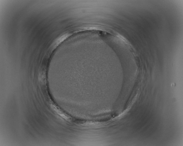 X0000082200977200702021840