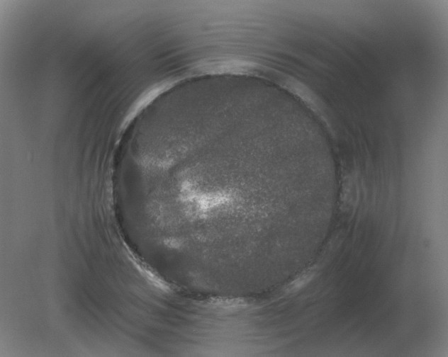 X0000082200978200702021840