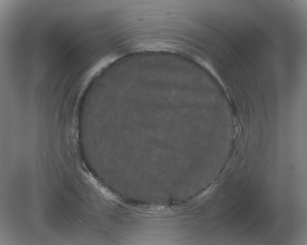 X0000082200979200702021840