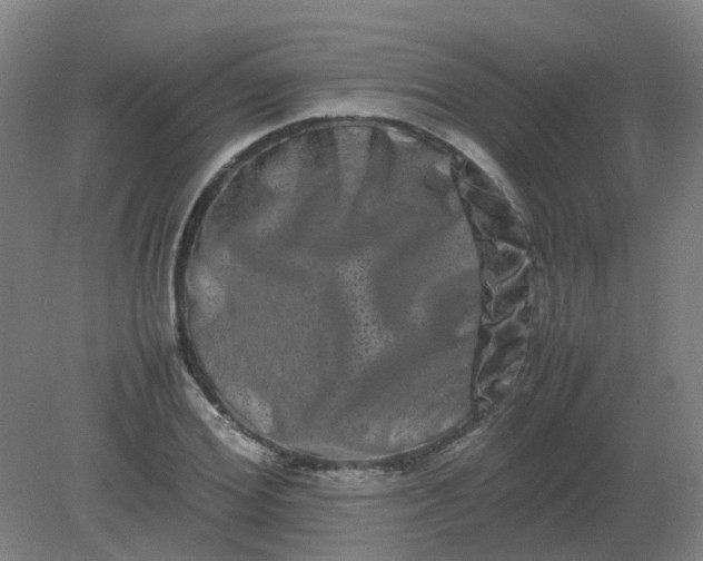 X0000082200980200702021840