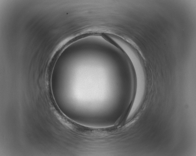 X0000082200981200702021840