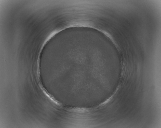 X0000082200982200702021840