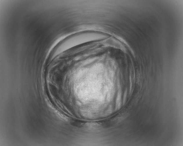 X0000082200983200702021840