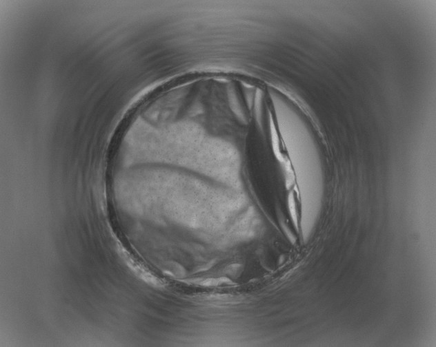 X0000082200984200702021840