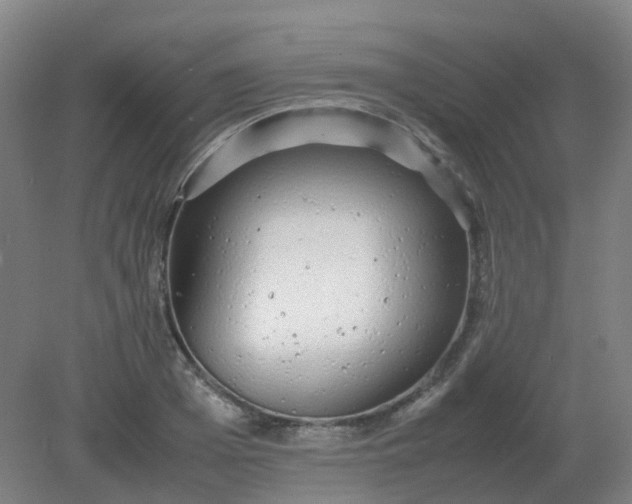 X0000082200985200702021840