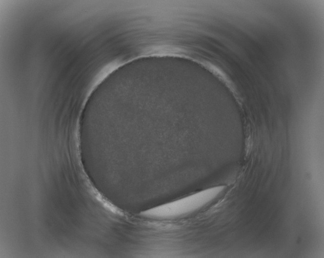 X0000082200990200702021839