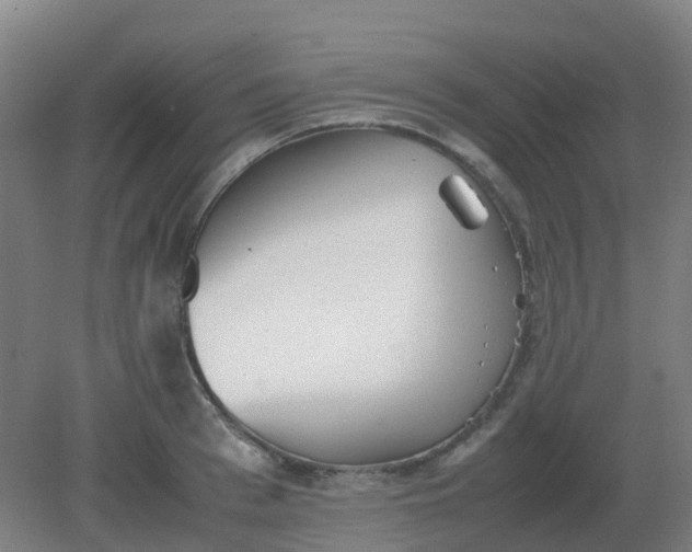 X0000082200993200702021839