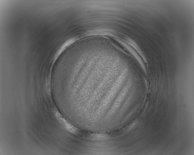 X0000082200994200702021839