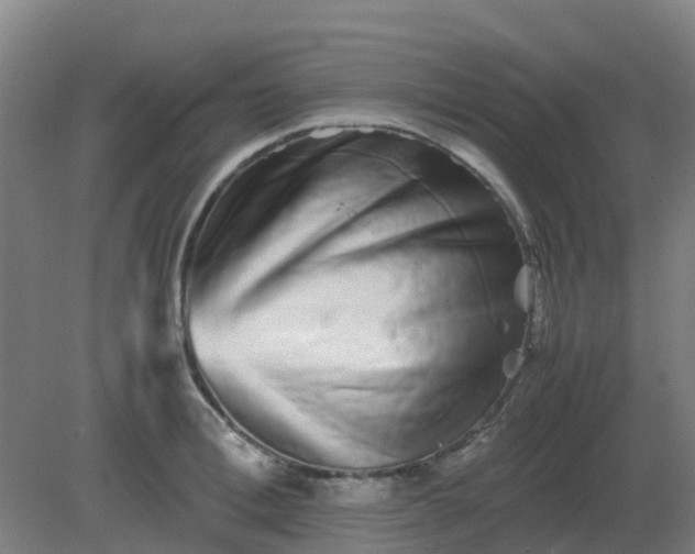 X0000082200996200702021839