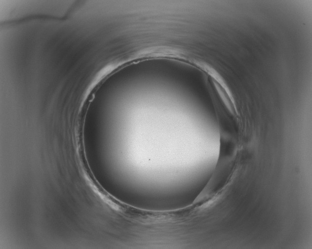 X0000082200997200702021839