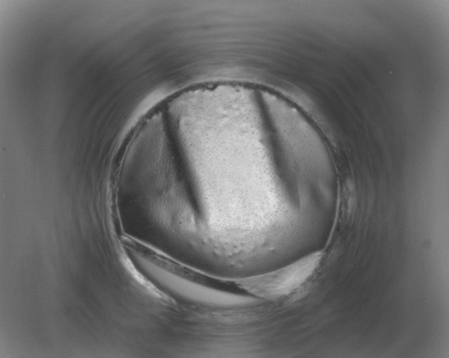 X0000082200998200702021839