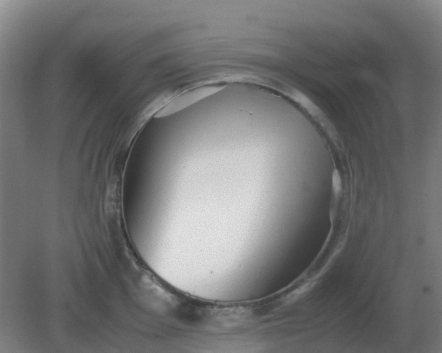 X0000082201001200702021839