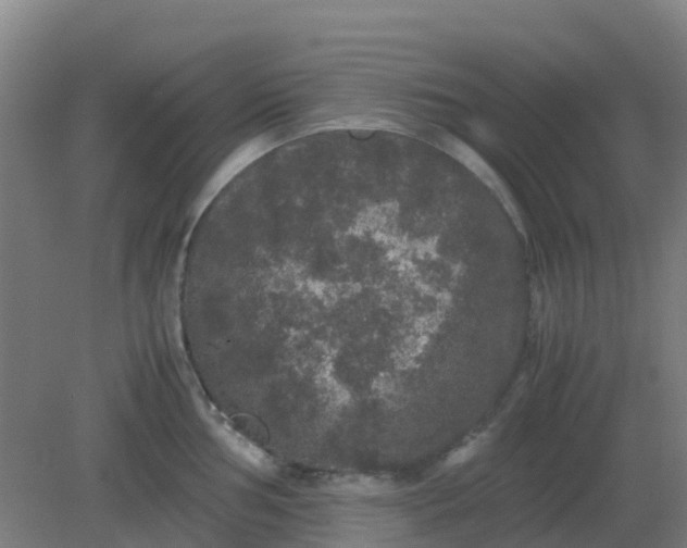 X0000082201002200702021839