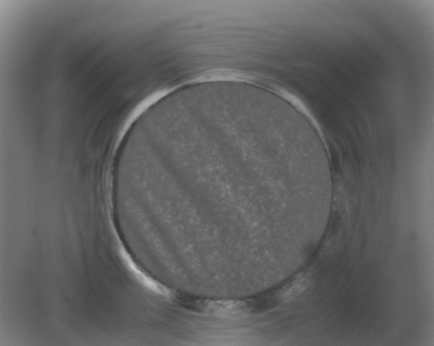 X0000082201003200702021839