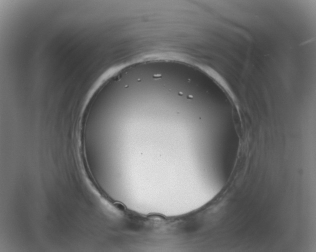 X0000082201005200702021839