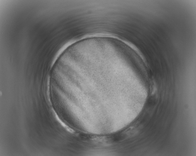 X0000082201006200702021839