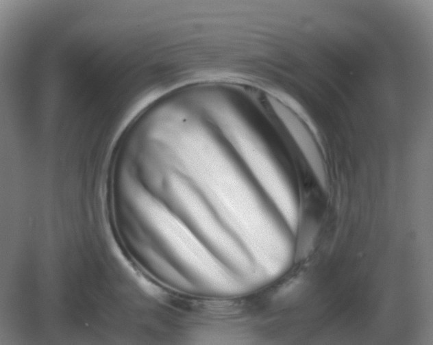 X0000082201007200702021839