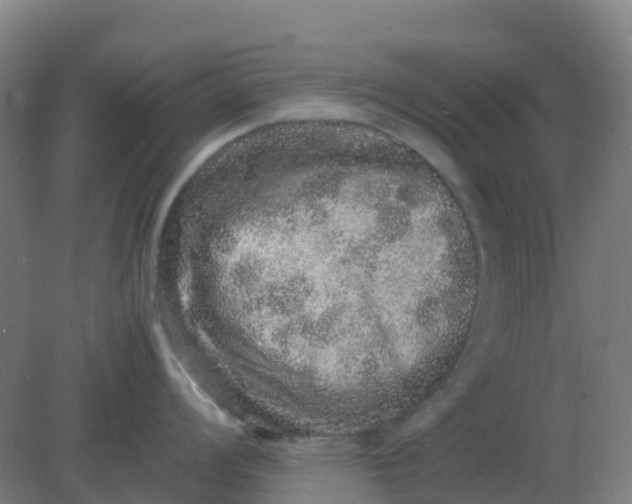 X0000082201008200702021839