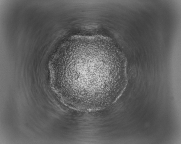 X0000082201009200702021838