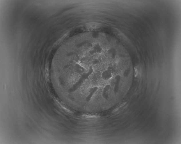 X0000082201011200702021838