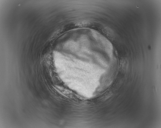 X0000082201012200702021838