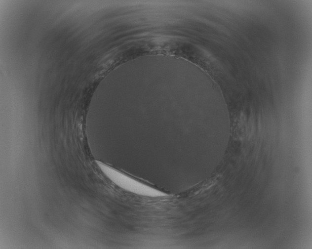 X0000082201013200702021838