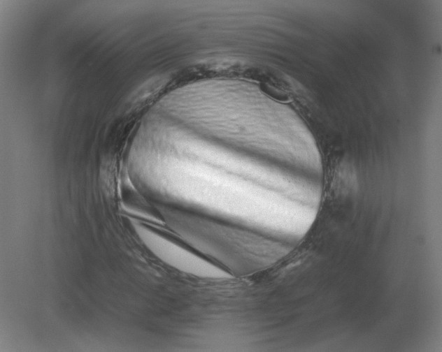 X0000082201014200702021838