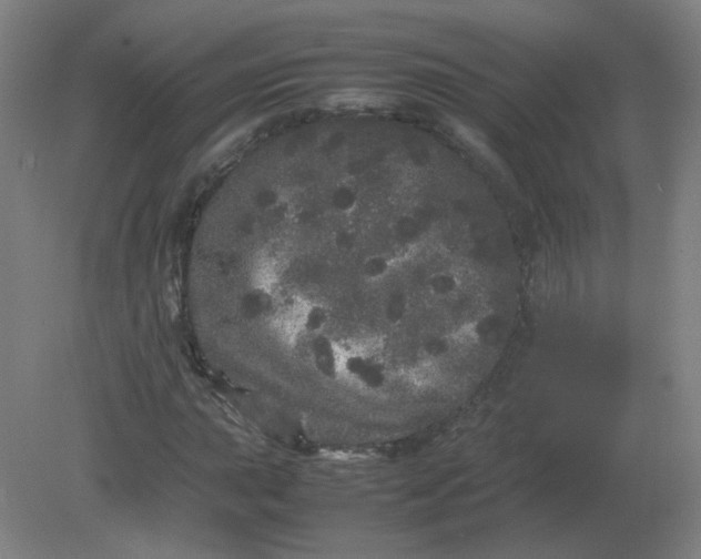 X0000082201015200702021838