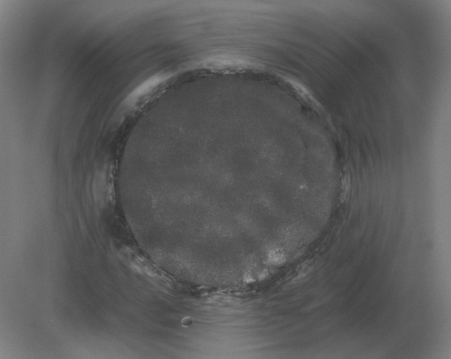 X0000082201016200702021838