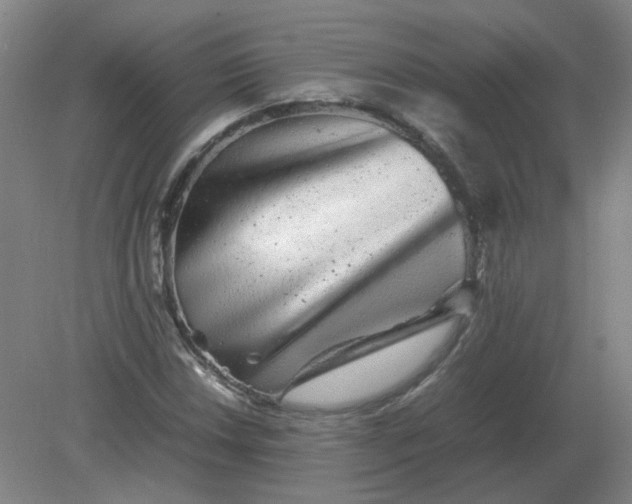 X0000082201018200702021838