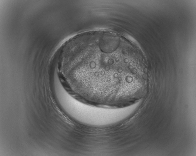 X0000082201019200702021838