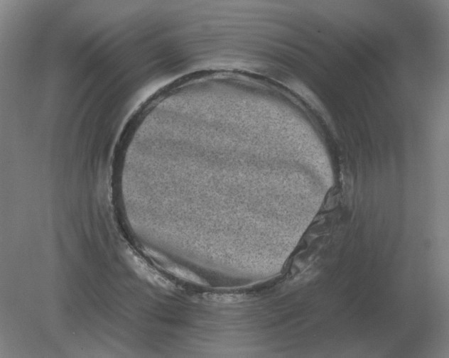 X0000082201020200702021839