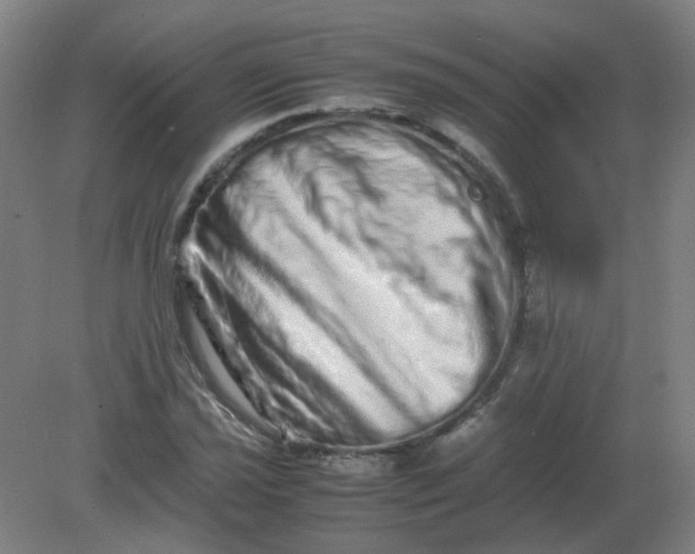 X0000082201021200702021839