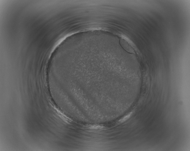 X0000082201023200702021839