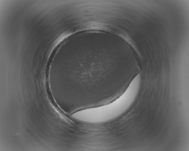 X0000082201024200702021839