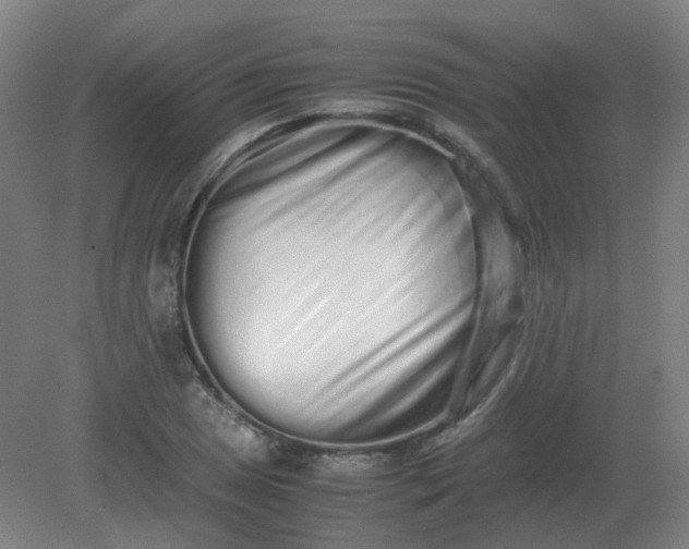 X0000082201025200702021839